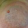 2009-06-20_36 2009-06-20_36